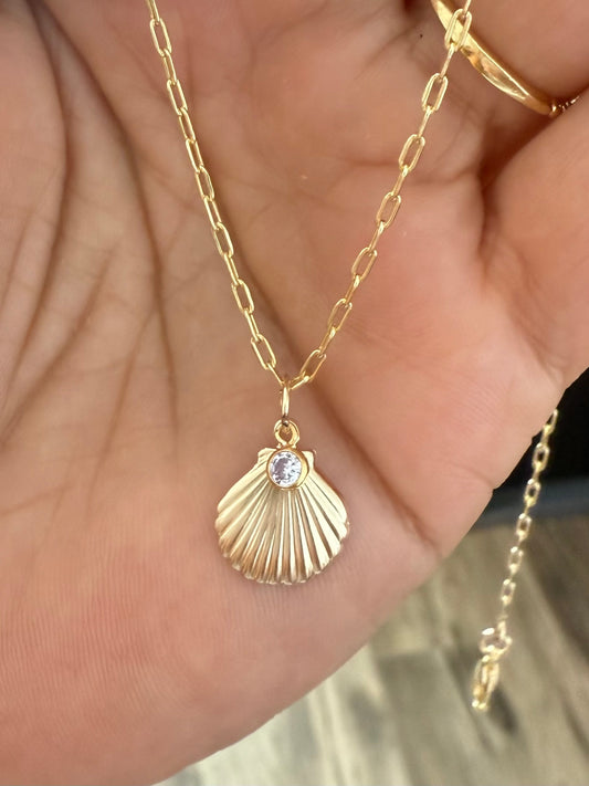 Seashell